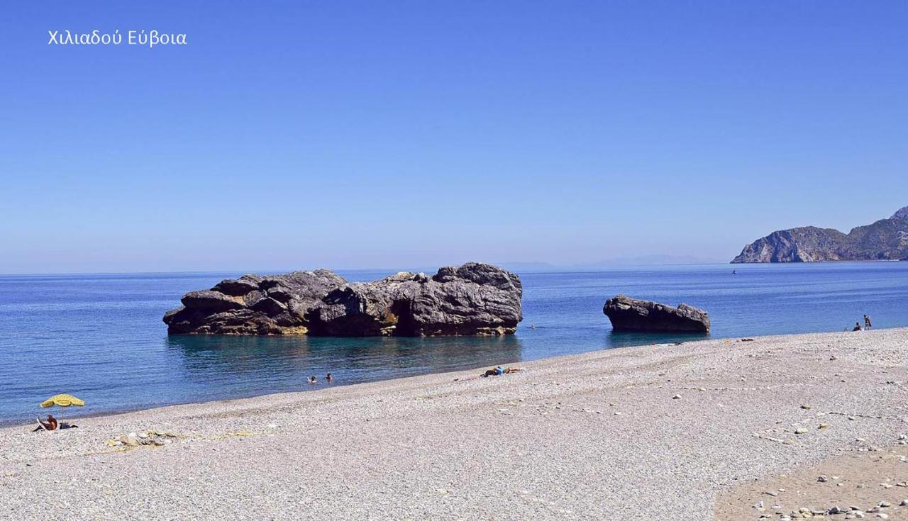 Fabulous Central Apartment Close To The Sea! Chalkís المظهر الخارجي الصورة